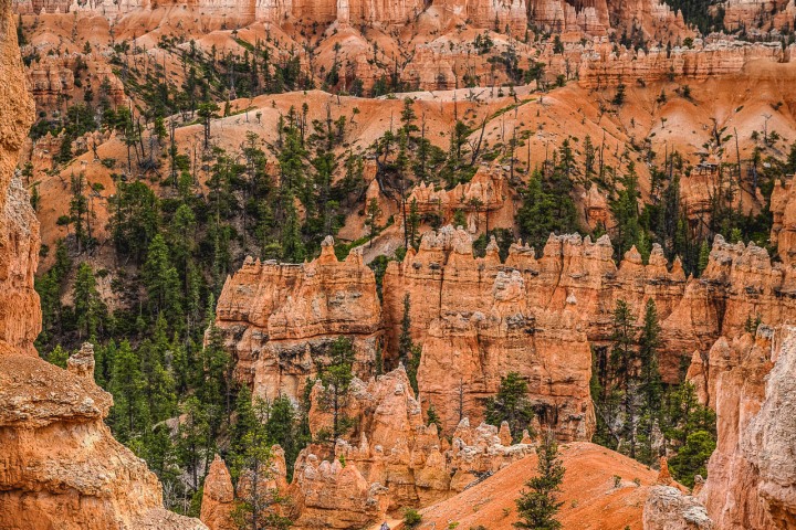 2020_0606_092145-3397_AGP_HDR