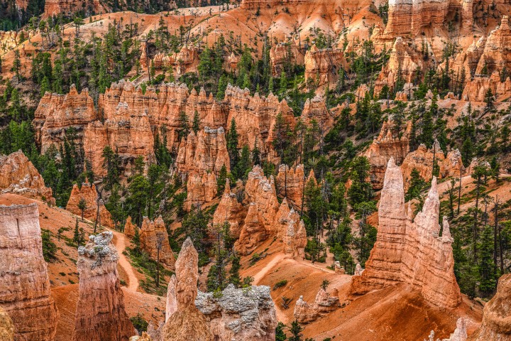 2020_0606_092748-3439_AGP_HDR