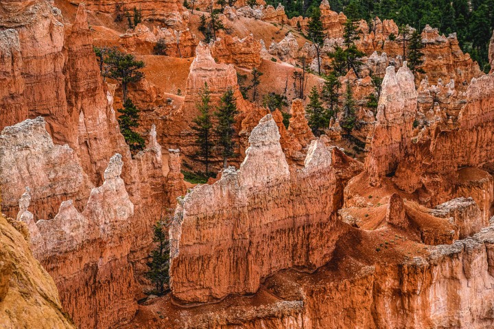 2020_0606_092816-3448_AGP_HDR