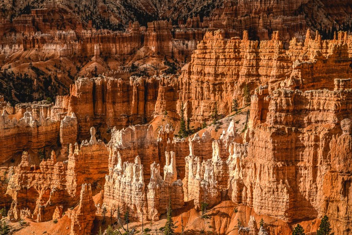 2020_0606_094633-3496_AGP_HDR