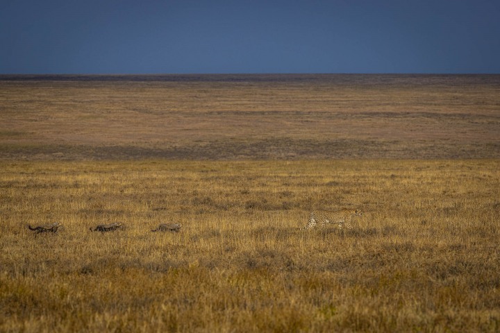2020_0927_005907-1713_AGP