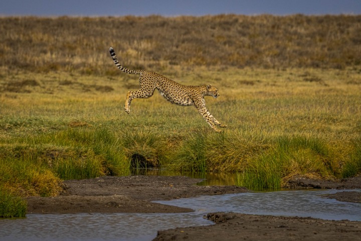 2020_0927_023329-1886_AGP