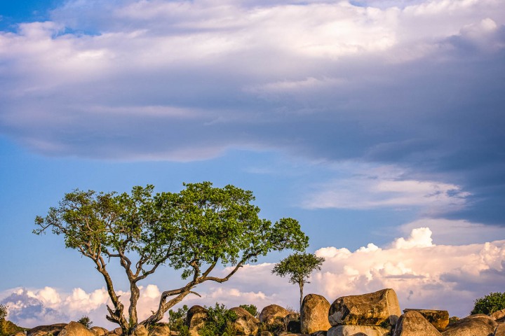 2020_0928_102159-3938_AGP_HDR