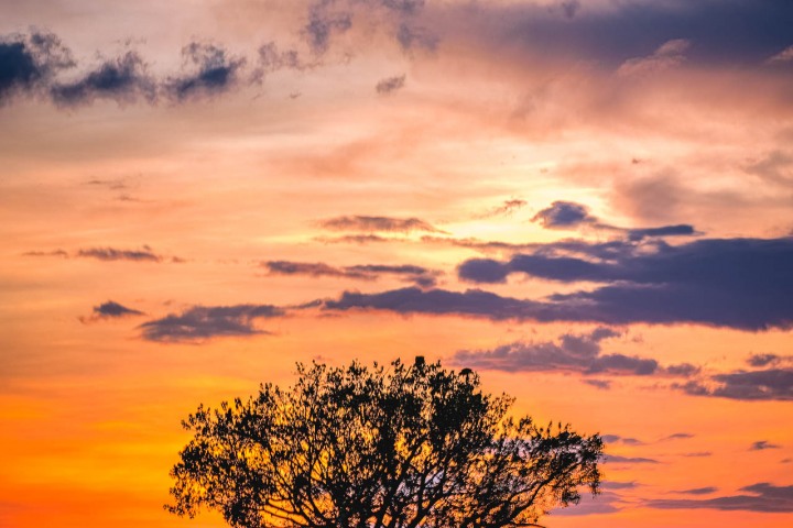 2020_0929_113520-7229_AGP_HDR