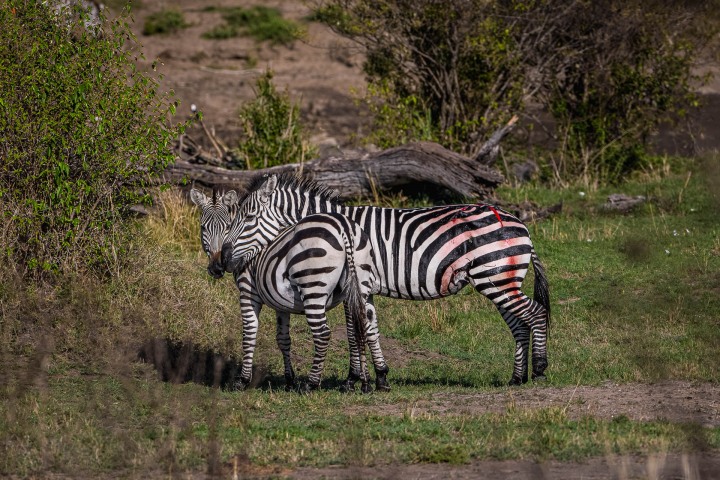 2020_1001_011544-1523_AGP