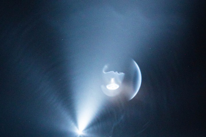 2021_0423_045345-1397_AGP