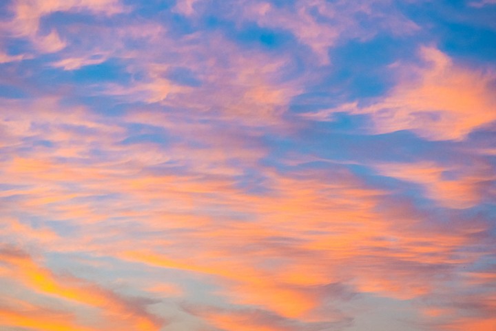 2021_0421_190105-0264_AGP