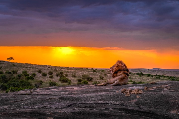 2021_1001_181422-0298_AGP_HDR