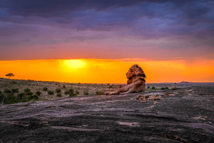 2021_1001_181446-0325_AGP_HDR