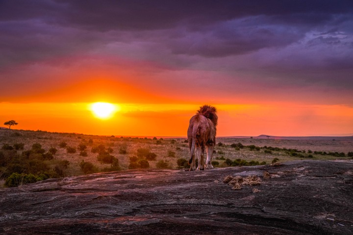 2021_1001_182147-0568_AGP_HDR