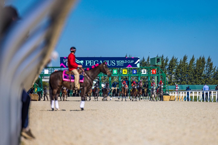 2022_0129_113414-2493_ALIVECOVERAGE