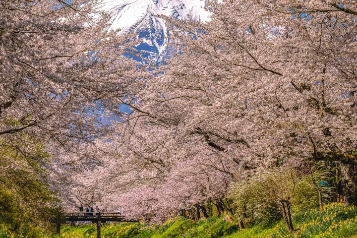 2023_0410_093711-2756_AGP_HDR