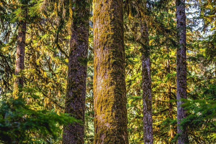 2023_0531_005534-5177_AGP_HDR