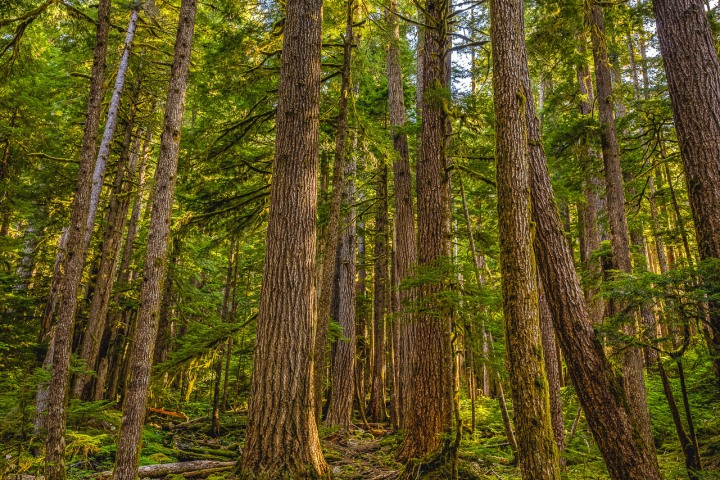 2023_0531_011401-5536_AGP_HDR