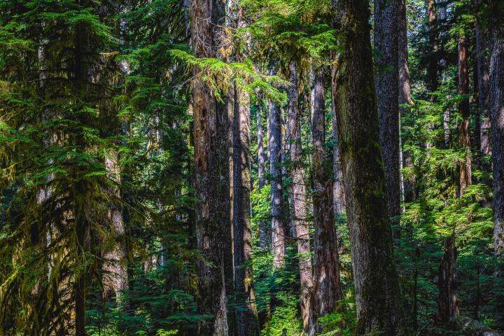 2023_0531_023134-5706_AGP_HDR