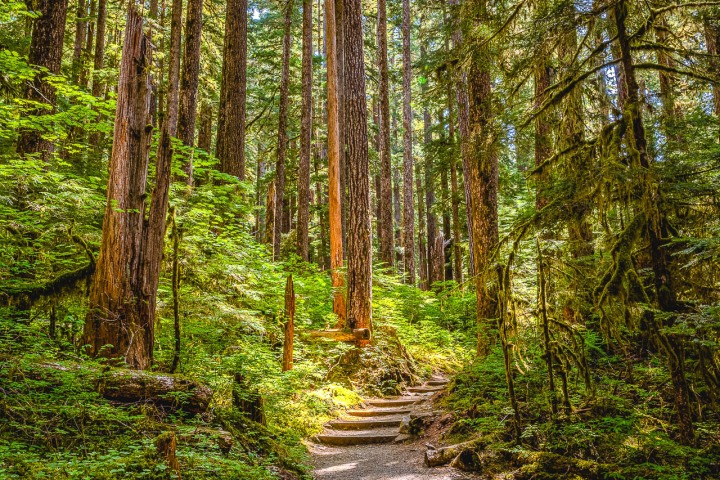2023_0531_025258-5857_AGP_HDR