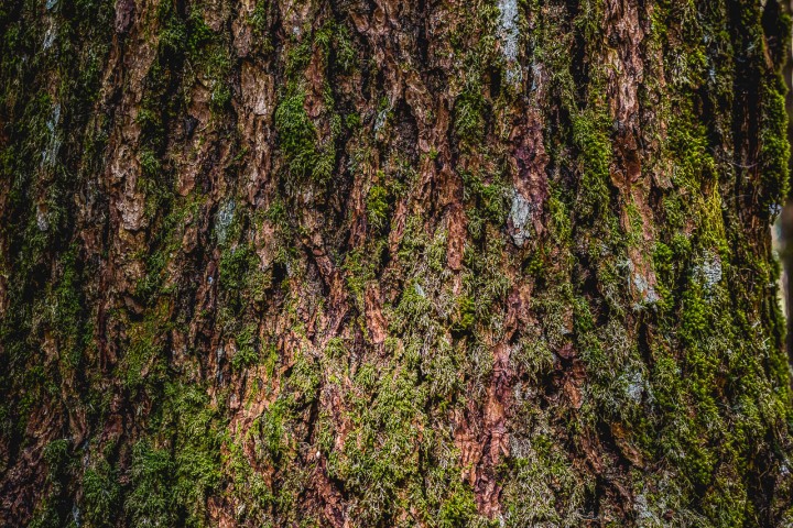 2023_0531_033422-6033_AGP_HDR