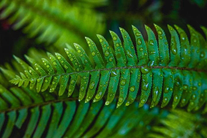 2023_0531_085510-6206_AGP_HDR