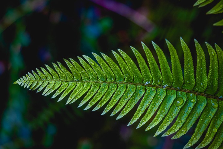 2023_0531_085806-6341_AGP_HDR