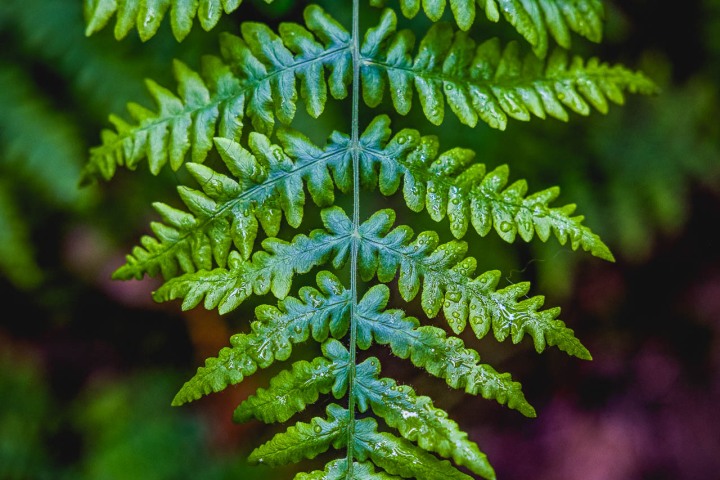 2023_0531_085826-6366_AGP_HDR