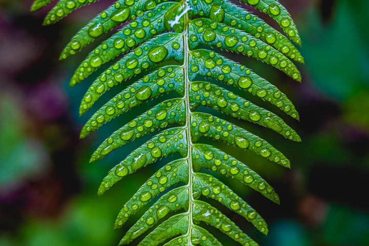 2023_0531_090103-6386_AGP_HDR