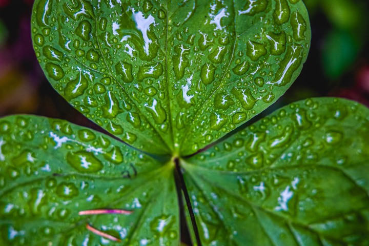 2023_0531_090129-6406_AGP_HDR