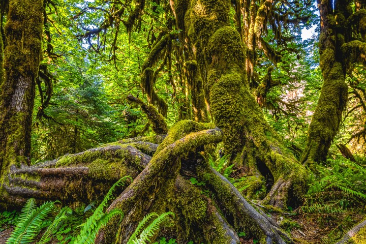 2023_0601_014219-6733_AGP_HDR