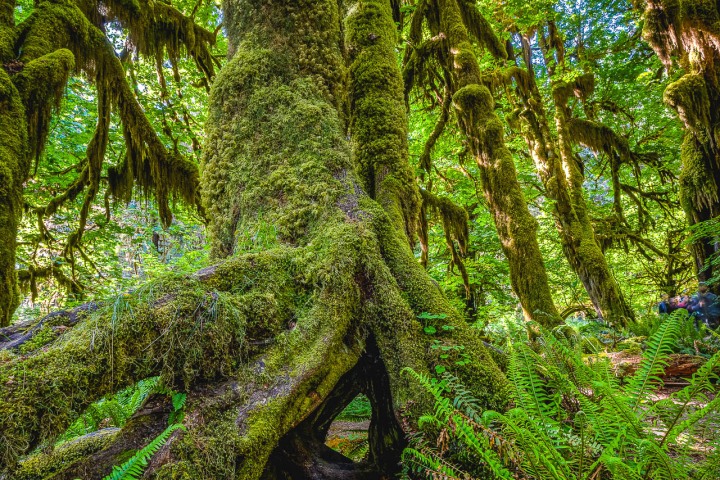 2023_0601_014526-6768_AGP_HDR