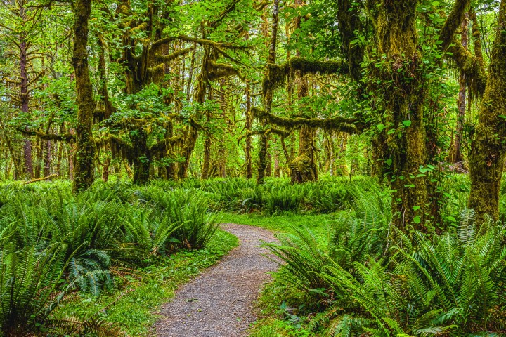 2023_0601_073402-7234_AGP_HDR