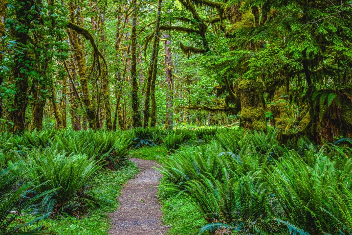 2023_0601_073928-7279_AGP_HDR