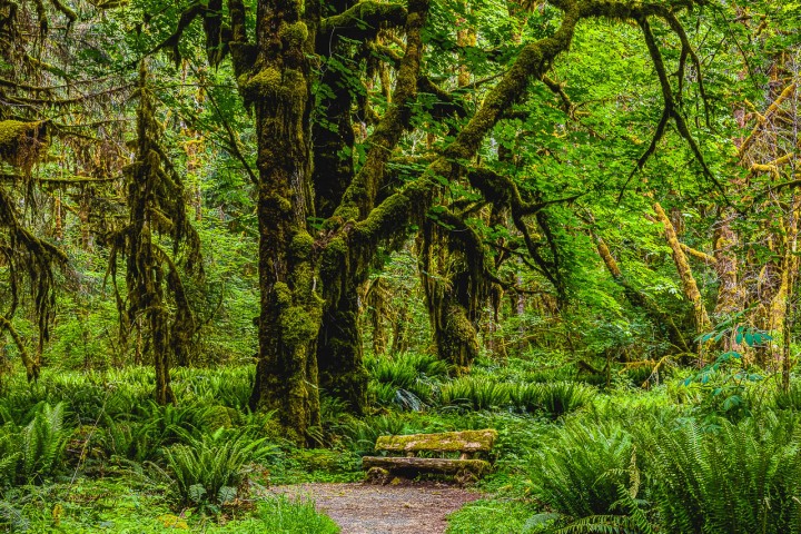2023_0601_074301-7299_AGP_HDR