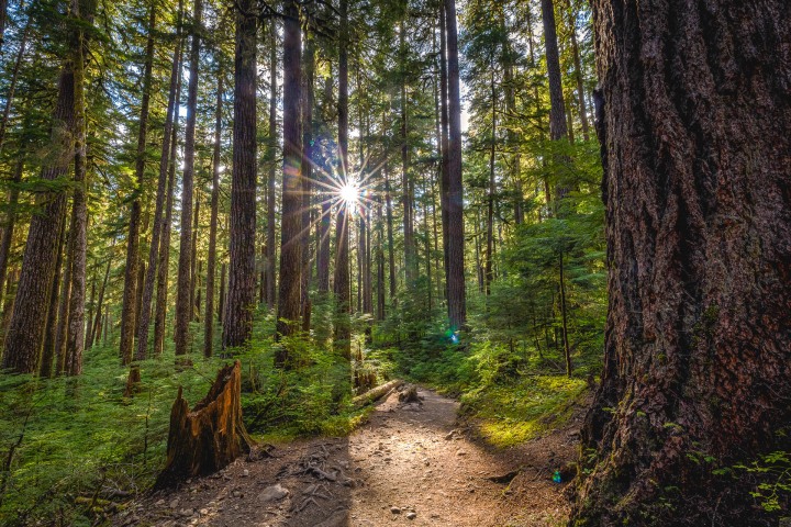 2023_0602_104414-8085_AGP_HDR