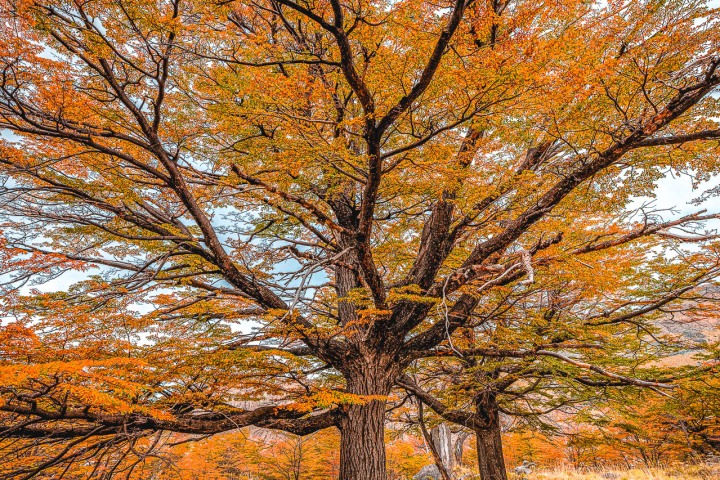 2024_0309_153124-4104_AGP_HDR