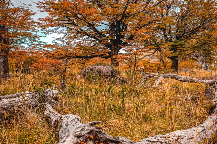 2024_0309_153524-4140_AGP_HDR