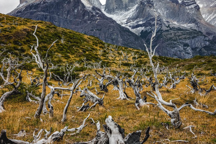2024_0311_131609-5879_AGP_HDR
