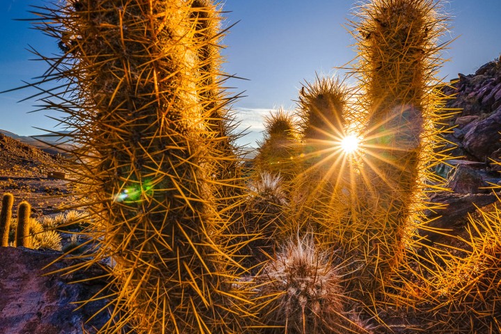 2024_0426_072627-8291_AGP_HDR