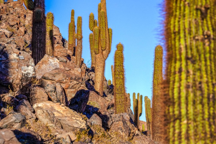 2024_0426_073455-8471_AGP_HDR
