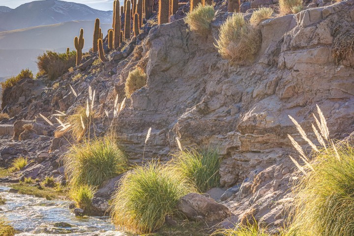2024_0426_080238-8908_AGP_HDR