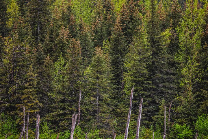 2024_0609_163437-9089_AGP_HDR