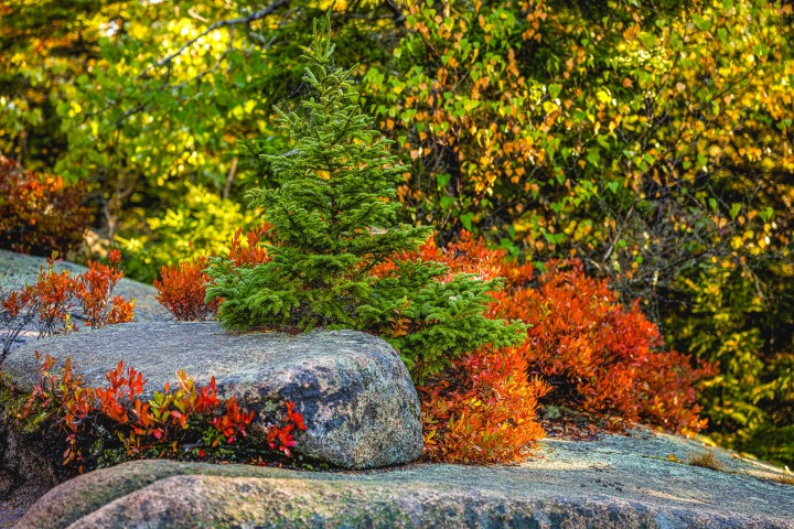 2024_0927_080137-4302_AGP_HDR