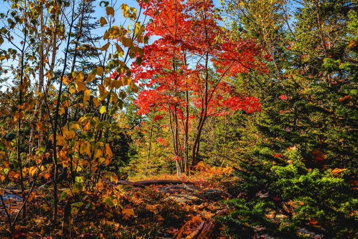 2024_0927_080928-4380_AGP_HDR