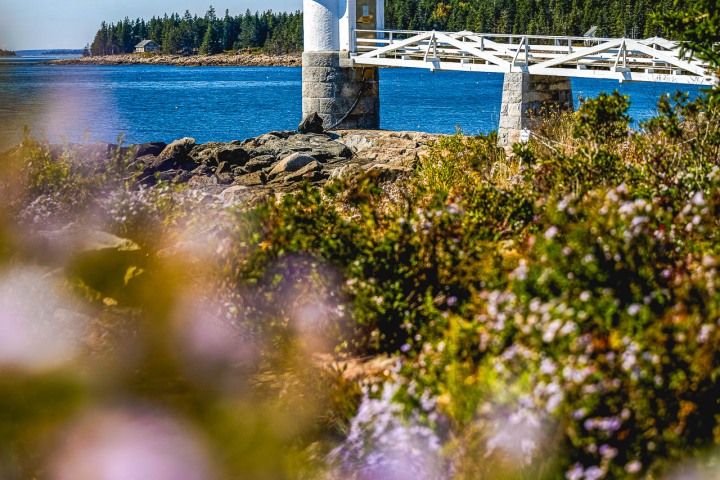 2024_0930_122913-8045_AGP_HDR