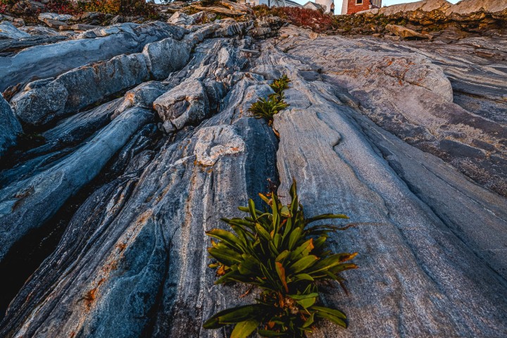 2024_0930_163119-8353_AGP_HDR