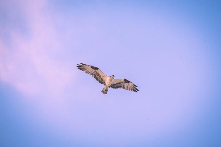 2025_0115_180052-3022_AGP