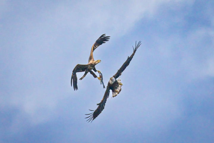 2025_0304_145640-3784_AGP-Enhanced-SR
