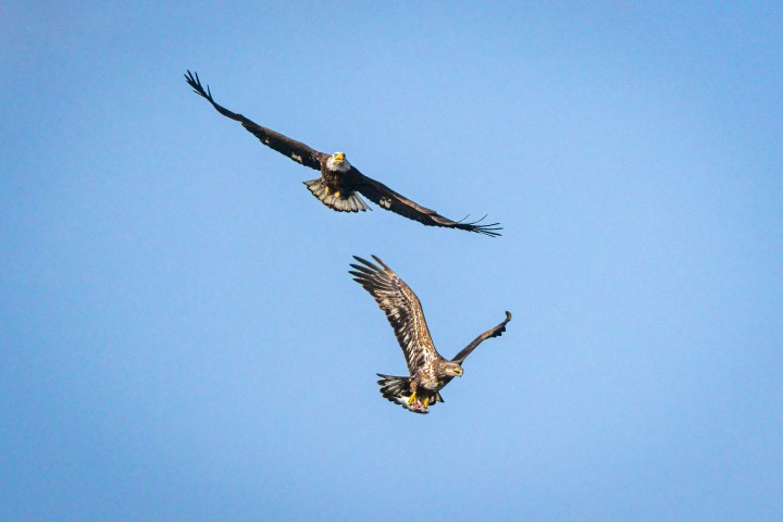2025_0304_145645-3807_AGP-Enhanced-SR