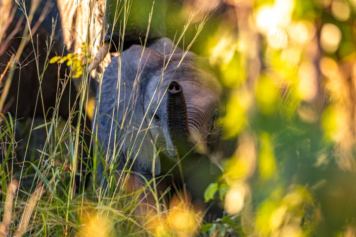 2025_0511_175848-2521_AGP
