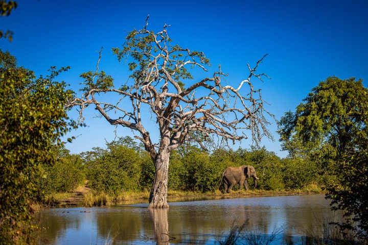 2025_0518_085220-6043_AGP