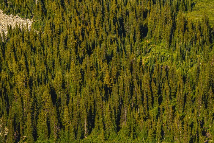 2025_0804_175359-2270_AGP_HDR