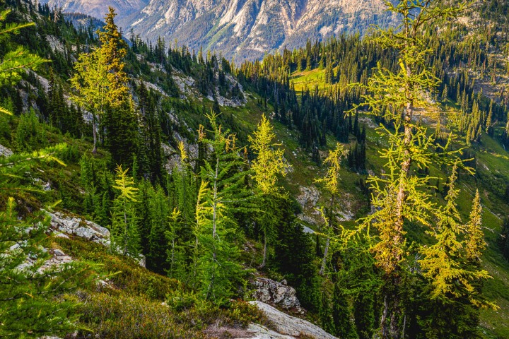 2025_0804_175842-2300_AGP_HDR
